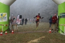 Nikolauscrosslauf 2016 (182)