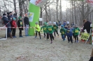 Nikolauscrosslauf 2016 (8)