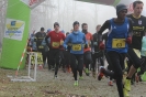 Nikolauscrosslauf 2016 (93)